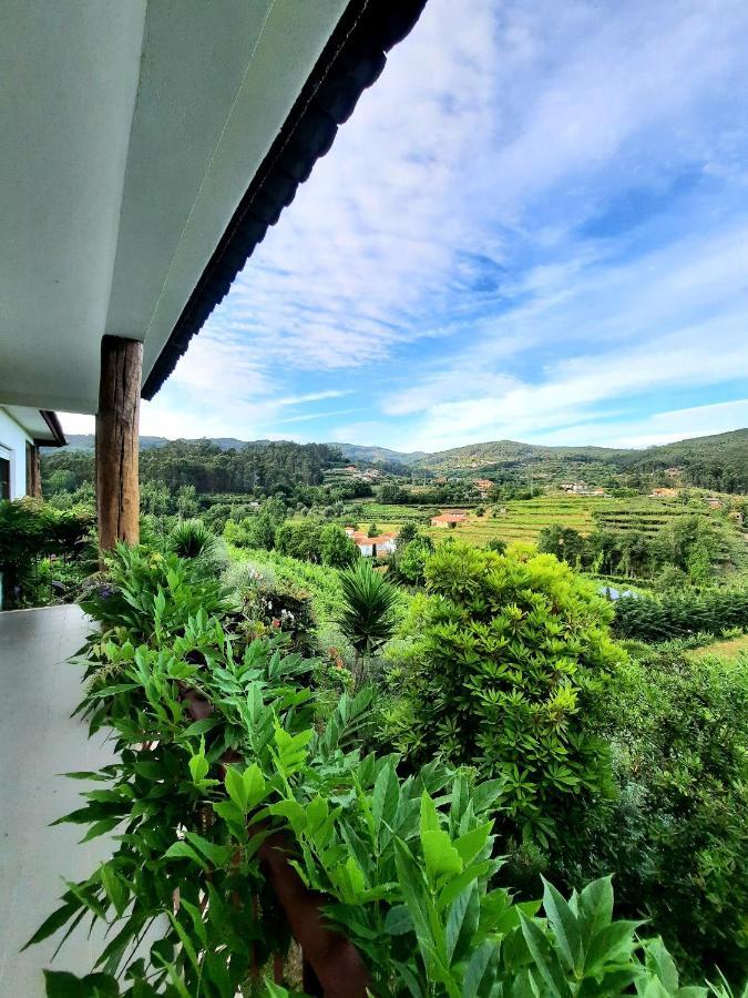 Quintinha D'Amelia Villa Celorico De Basto Bagian luar foto